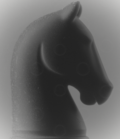 Monochrome knight - chess piece on a grey background.