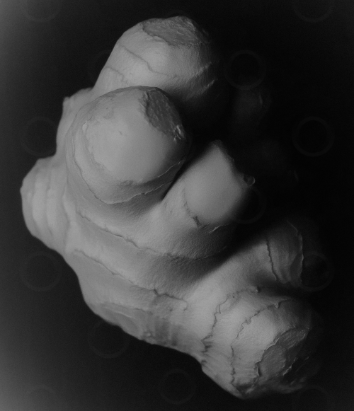 Monochrome ginger on a black background.