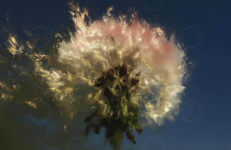 Oil painting of a dandelion on fire.