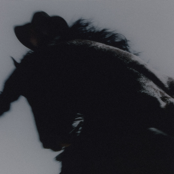 Rodeo