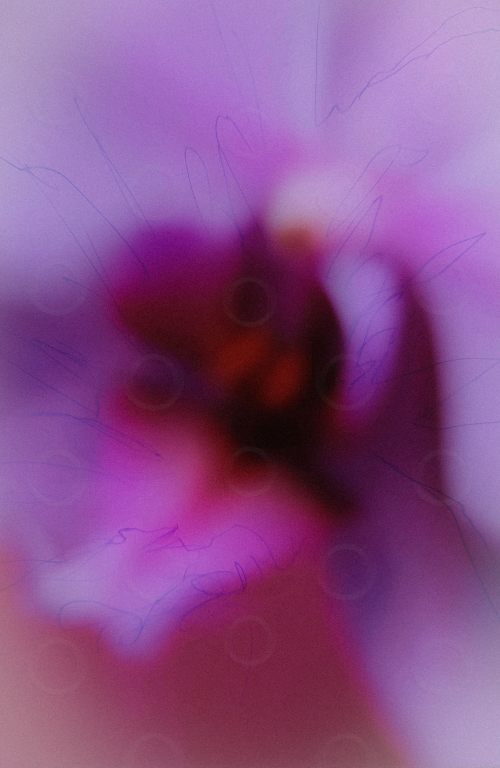Close-up of a pink orchid flower with overlayed scribbles.