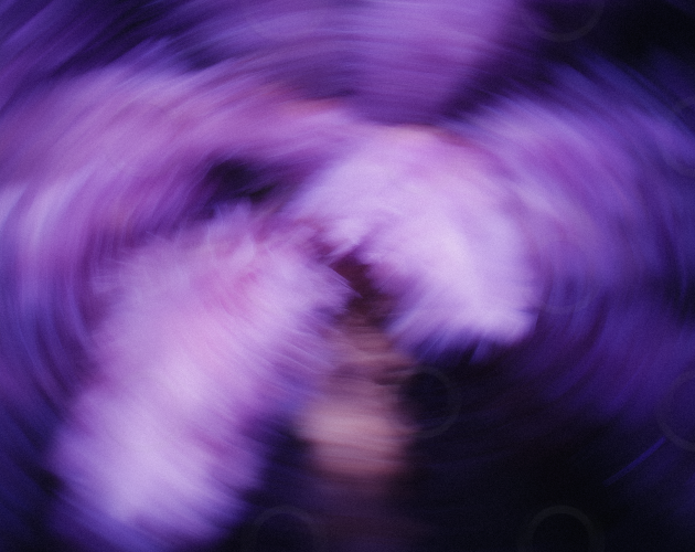 Palm tree in motion blur at night.