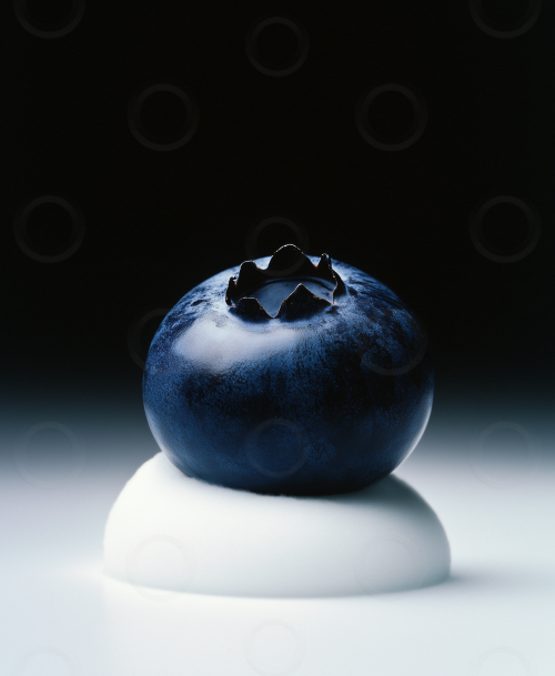 A blueberry with foam beneath it with dramatic studio lighting.