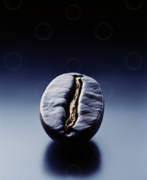 An isolated coffee bean with dramatic studio lighting.