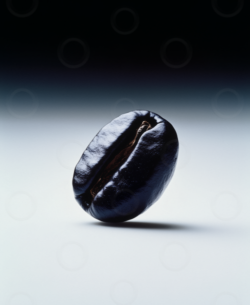 An isolated coffee bean with dramatic studio lighting.