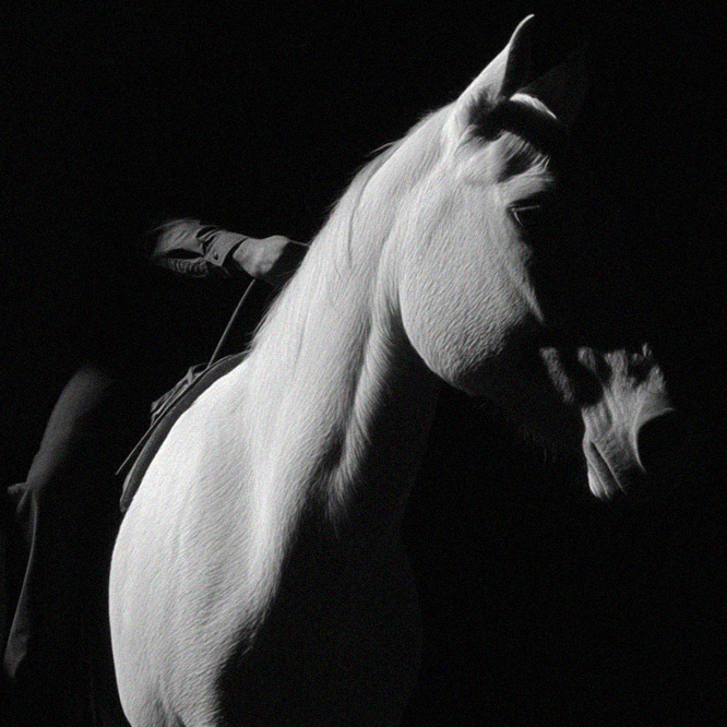 Black & White
